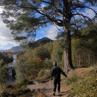 George Smith in the forrest, Glen Affric