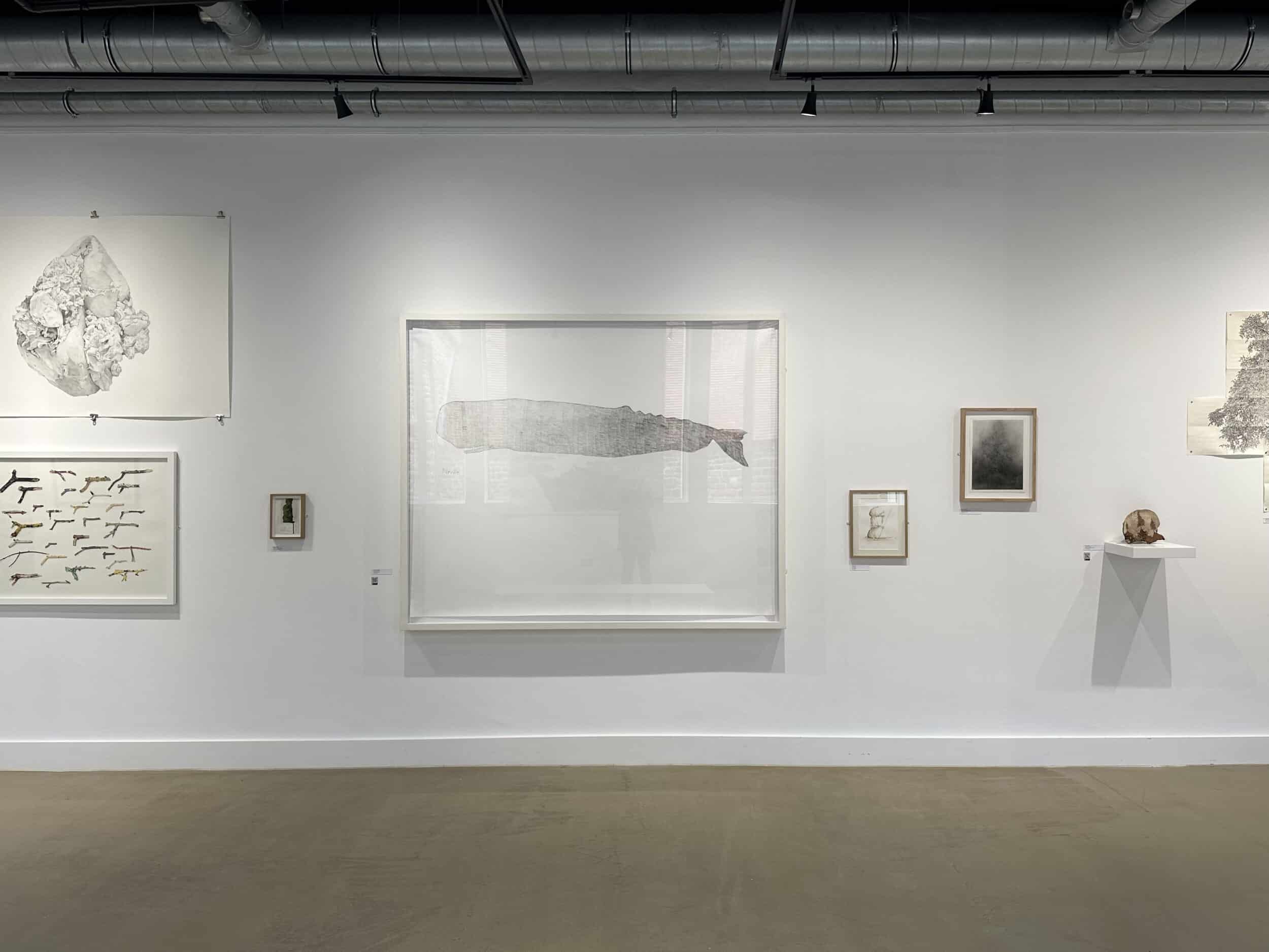 Neville Jermyn, Sperm Whale, Trinity Buoy Wharf Drawing Prize, ArtHouse Jersey at Capital House, 2023