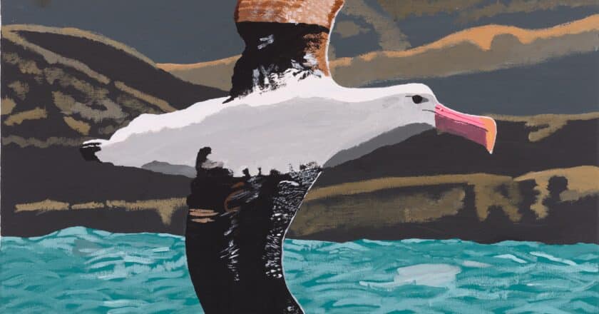 A painting on canvas of an albatross in flight soaring over the choppy sea. The landscape behind the bird is hilly and rugged and it looks like dusk.